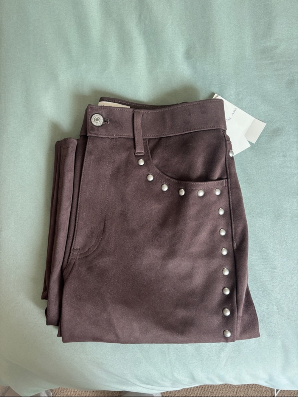 Studded Suede Pants